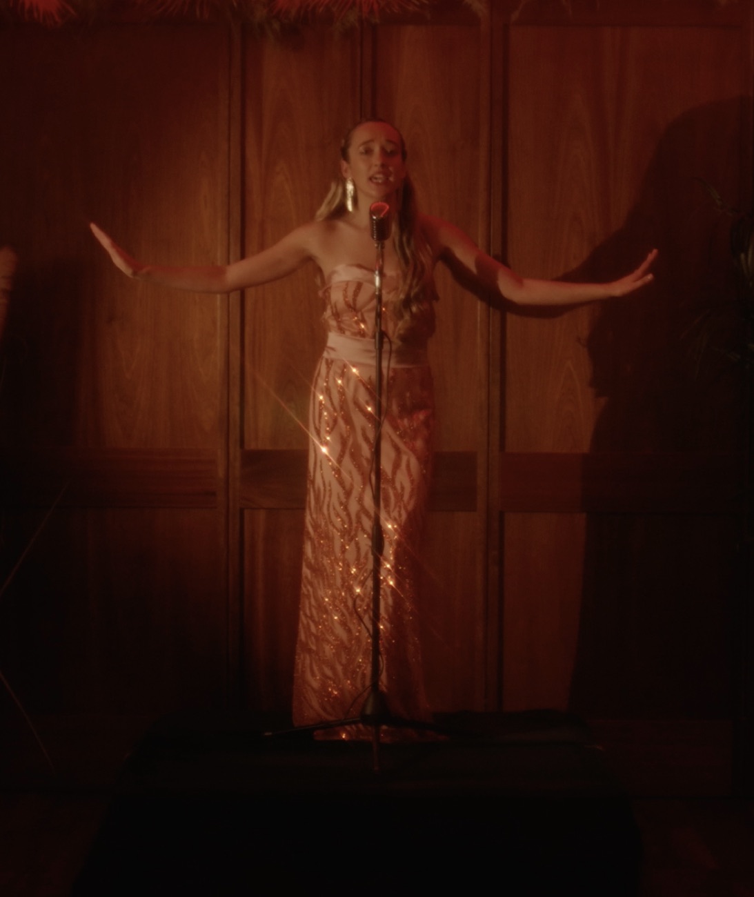 To Fan or to Flame, an embellished gown Molly made for a music video